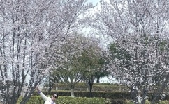 两男添一女60分钟玩法介绍